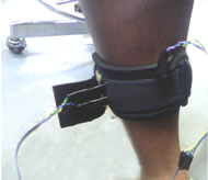 This figure shows the FMG cuff placed on the lower portion of the calf muscle. Wires can be seen coming from the four FSRs placed within the cuff.